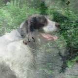 Example 3
